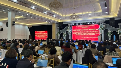 การฝึกอบรม: ดำเนินการฝึกอบรมเกี่ยวกับการจัดทำบัญชีรายการทรัพย์สินสาธารณะอย่างครอบคลุม และให้คำแนะนำเกี่ยวกับการใช้ซอฟต์แวร์จัดทำบัญชีรายการทรัพย์สินสาธารณะในหน่วยงานและแผนกต่างๆ ในจังหวัด