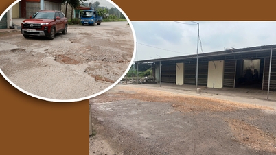 A estrada que dá acesso à área de cultivo de lichias de Phuc Hoa foi reparada.