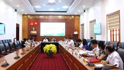 LÀO CAI TRIỂN KHAI KẾ HOẠCH NÂNG CAO CHẤT LƯỢNG ĐỘI NGŨ CÁN BỘ, CÔNG CHỨC, VIÊN CHỨC CƠ SỞ ĐÁP ỨNG YÊU CẦU TRONG GIAI ĐOẠN MỚI