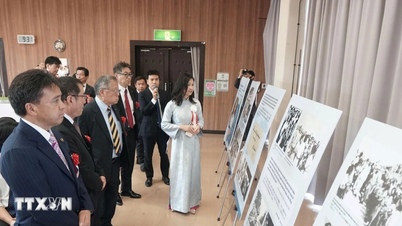 Oslava symbolů míru a mezinárodního přátelství v Japonsku.
