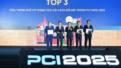 떠이닌성은 20년 지방 경쟁력 지수(PCI)에서 뛰어난 개혁 성과를 거둔 상위 3개 성 및 도시에 속합니다.