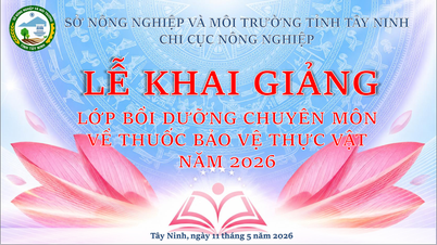 Tay Ninh: Eröffnung eines professionellen Ausbildungskurses für Pflanzenschutzmittel im Jahr 2026.