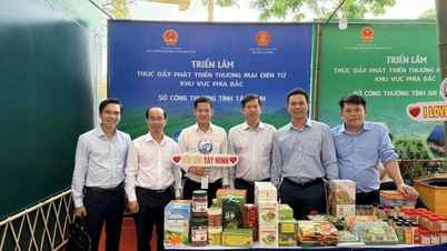ខេត្តតៃនិញចូលរួមក្នុងកម្មវិធី "ជំរុញការអភិវឌ្ឍពាណិជ្ជកម្មអេឡិចត្រូនិកនៅតំបន់ភាគខាងជើង" នៅខេត្តថៃង្វៀន។