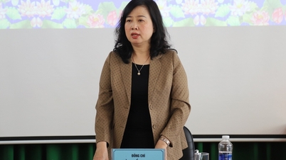 La ministra Dao Hong Lan: Se debe prestar especial atención a la atención temprana de la salud mental.