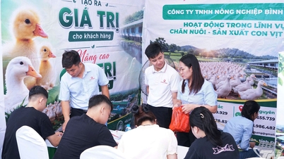 A lively Job Fair at Thai Nguyen University of Agriculture and Forestry.