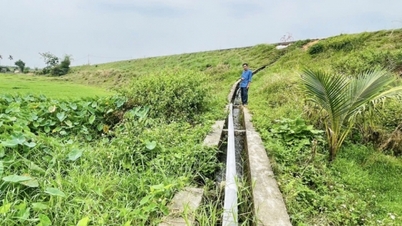 কোয়াং ইয়েন ওয়ার্ডের এন২১ খালটি যত তাড়াতাড়ি সম্ভব মেরামত করুন।