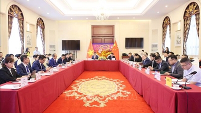 Vietnamul și China promovează cooperarea în industriile ecologice, vizând dezvoltarea durabilă.