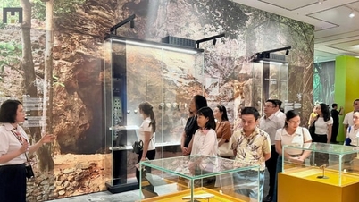Museu de Hanói - de um "local de preservação" a um ponto de encontro cultural.