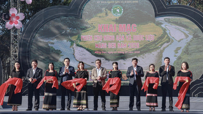 Quang Ngai - Inauguração do Mercado de Produtos Agrícolas e Ervas Medicinais Mang Den
