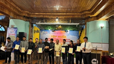 Capacitação em transformação digital para o desenvolvimento do turismo comunitário, agroturismo e turismo rural na província de Quang Ngai.