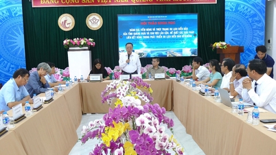 Workshop para avaliar o potencial e o estado atual do turismo marítimo e insular na província de Quang Ngai e arredores.