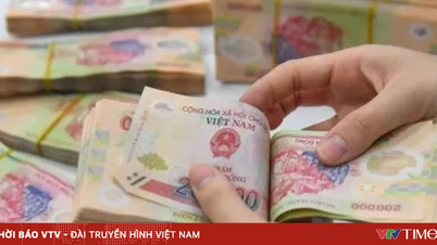 С 1 июля максимальная зарплата государственных служащих превысит 25 миллионов донгов в месяц.