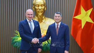 El Primer Ministro recibe al Ministro de Asuntos Exteriores y Asuntos Europeos de Croacia.