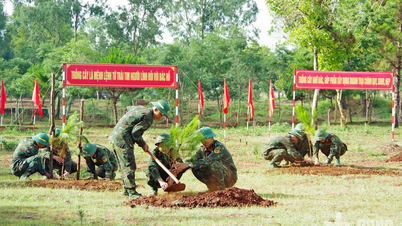 The 320th Division (34th Corps) planted over 22,000 trees.