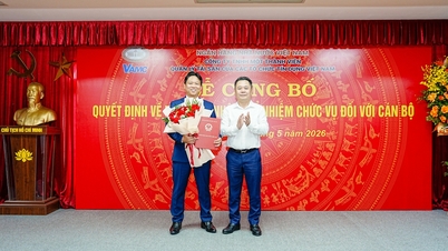 Herr Nguyen Hoai Duc wurde zum stellvertretenden Generaldirektor des VAMC ernannt.