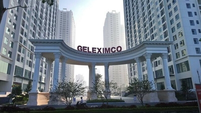 غول املاک و مستغلات Geleximco می‌خواهد وارد دامداری شود.