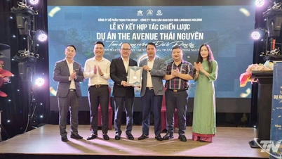 Новий поштовх для ринку нерухомості Тхай Нгуєна від проекту The Avenue.