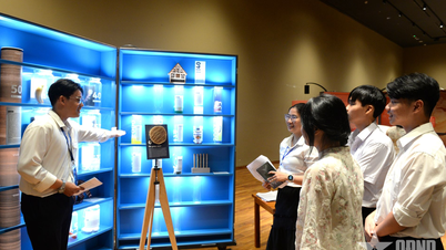 Museo de Da Nang: Explorando “el universo, la humanidad y la inteligencia”