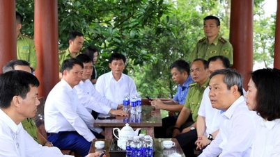 ទីក្រុងហាណូយកំពុងរៀបចំផែនការសម្រាប់ការគ្រប់គ្រង និងរដ្ឋបាលបង្រួបបង្រួមឧទ្យានជាតិបាវី។