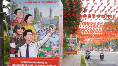 La ciudad de Dong Nai entra en una nueva era de desarrollo.