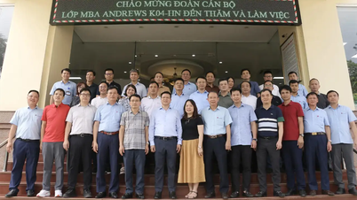 Kurz MBA K04-HN na Andrews Petrolimex proběhl ve formě praktického učení spojeného s návštěvou historického místa ATK Dinh Hoa v Thai Nguyen, které se vrací ke kořenům.