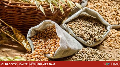 Trung Quốc mua thêm 17 tỷ USD nông sản Mỹ mỗi năm