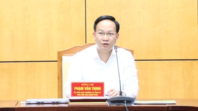 Bac Ninh intensywnie przygotowuje się do konferencji, której celem jest promocja spożycia liczi i innych produktów rolnych.