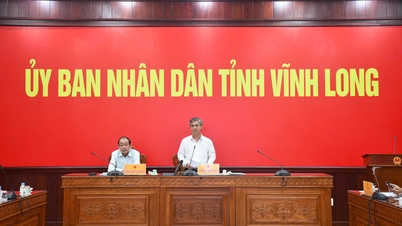 Tập trung triển khai xây dựng mã số vùng trồng, mã số cơ sở đóng gói theo Nghị định số 38/2026/NĐ-CP