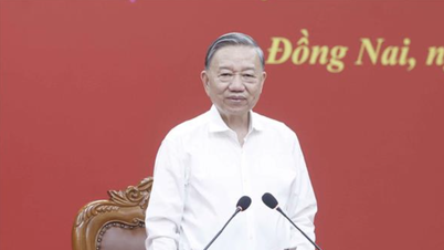 Secretario General y Presidente: Crear un nuevo modelo de crecimiento que permita a Dong Nai trascender las limitaciones de un centro industrial tradicional.