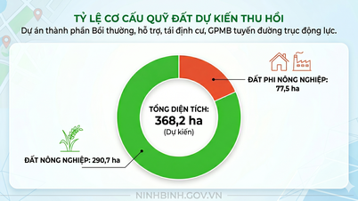 Wydano zgodę na projekt rekompensaty i oczyszczenia terenu dla drogi Hoa Lu - Nam Dinh, o łącznej wartości inwestycji przekraczającej 6,674 miliardów VND.