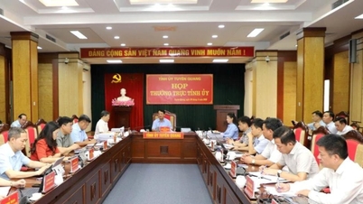 Tuyen Quang: Effektive Organisation thematischer Konferenzen zur Umsetzung bahnbrechender Initiativen.