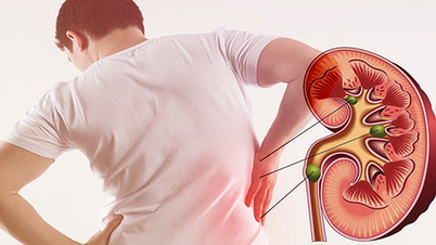 7 habits that silently weaken the kidneys; men need to change them soon.