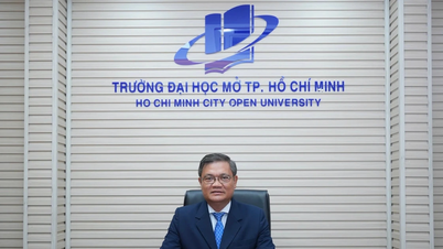 Professor Dr. Nguyen Minh Ha behält weiterhin das Amt des Rektors der Ho Chi Minh City Open University.