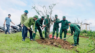 Autoridades e moradores da comuna fronteiriça de Si Pa Phin plantam árvores para celebrar o 136º aniversário do nascimento do presidente Ho Chi Minh.