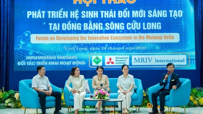 Promouvoir le développement de l'écosystème d'innovation dans le delta du Mékong.