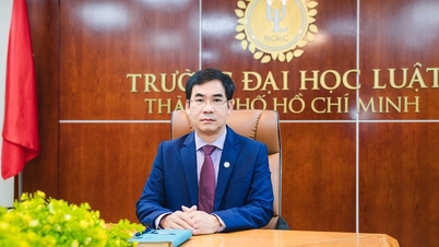 Dr. Le Truong Son továbbra is a Ho Si Minh-városi Jogi Egyetem vezetője.