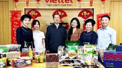Cao Bang прискорює зусилля щодо виведення сільськогосподарської продукції на цифрові платформи, розширюючи свій ринок по всій країні.
