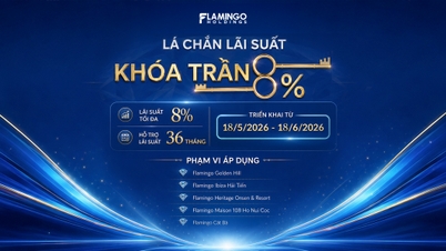 Flamingo lansează politica „Scutul ratei dobânzii - Plafon de 8%”: Oferă sprijin financiar suplimentar investitorilor.