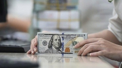 Cursul de schimb USD astăzi, 19 mai 2026: Cursul de pe piața neagră a crescut cu aproape 20 de dong.
