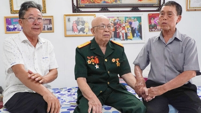 Camaradagem entre veteranos em tempos de paz