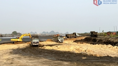 Leading the disbursement of public investment, expanding the scope for development.