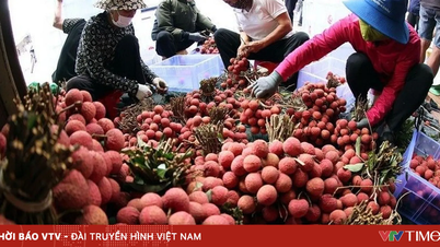 ڈیجیٹل پلیٹ فارم کے ذریعے لیچی فروخت کرنا۔