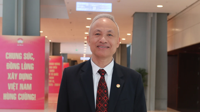 Professor Nguyen Quoc Sy: O que faz os cientistas voltarem não são apenas os altos salários.