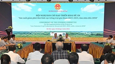ការបំពេញក្របខ័ណ្ឌបច្ចេកទេសសម្រាប់ផលិតកម្មដំណាំដែលបំភាយឧស្ម័នទាប។