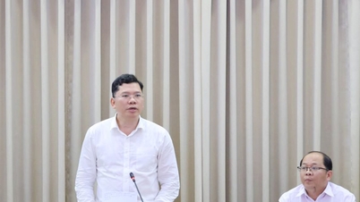 Ho Si Minh-város Népi Bizottságának alelnökét, Hoang Nguyễnt további felelősségekkel bízták meg a kártérítéssel és az áttelepítéssel kapcsolatban.