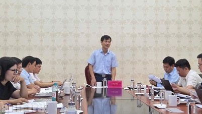 Đôn đốc, kiểm tra việc rà soát, giải quyết khiếu nại, tố cáo và thực hiện thanh tra chuyên đề tại TP Hải Phòng