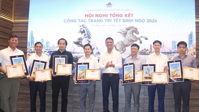 다낭시는 2026년 말띠 해 음력 설날을 맞아 아름다운 장식을 선보인 단체와 개인들에게 찬사를 보냅니다.