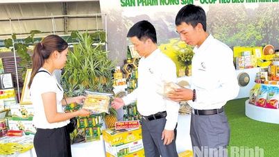 Ninh Binh Industrial Promotion - En drivkraft för hållbar utveckling av landsbygdsindustrier.