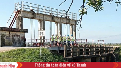 बरसात के मौसम से पहले सिंचाई व्यवस्था का रखरखाव और उन्नयन करें।