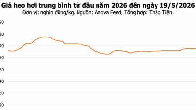 Precios de la carne de cerdo hoy, 19 de mayo: Ligero descenso en el sur; en Ciudad Ho Chi Minh y Dong Nai se mantienen en 70.000 VND/kg.